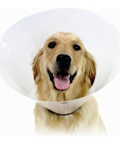 Collare elisabettiano per cani KVP Check Trasparente (34-43 cm)