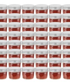 vidaXL Marmeladengläser mit Silbernen Deckeln 48 Stk. 110 ml