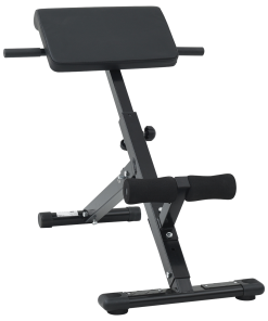 vidaXL Hyperextensionsbank 120 kg faltbar und verstellbar aus Stahl