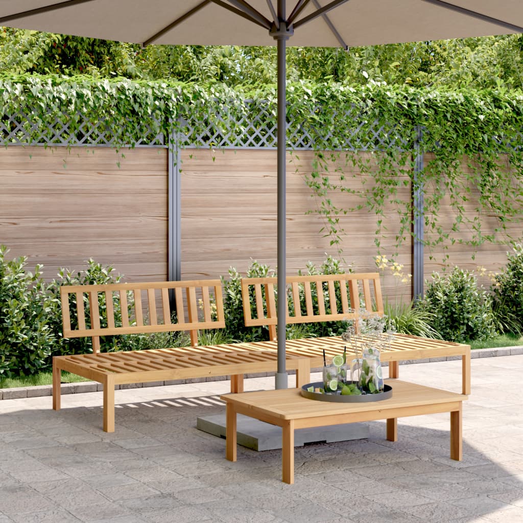 Divani Centrali Da Giardino Pallet 2pz Legno Massello Di Acacia