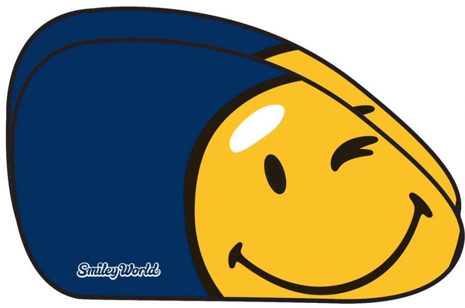 Tendine Parasole Laterali A Trapezio 65x38 cm