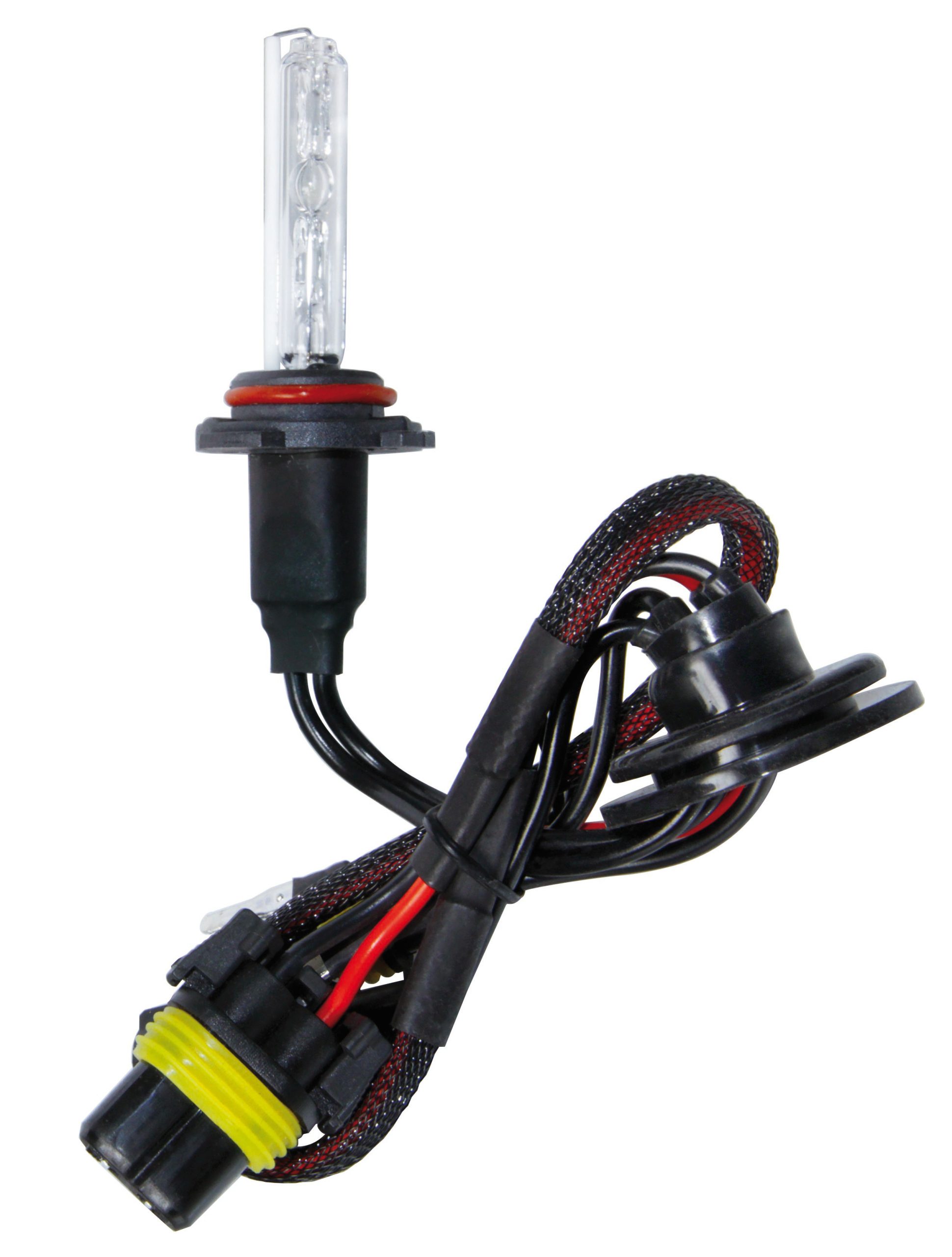 12/24v Lampadina Hid Xenon 8.000k - H10 - 1 Pz  - Scatola