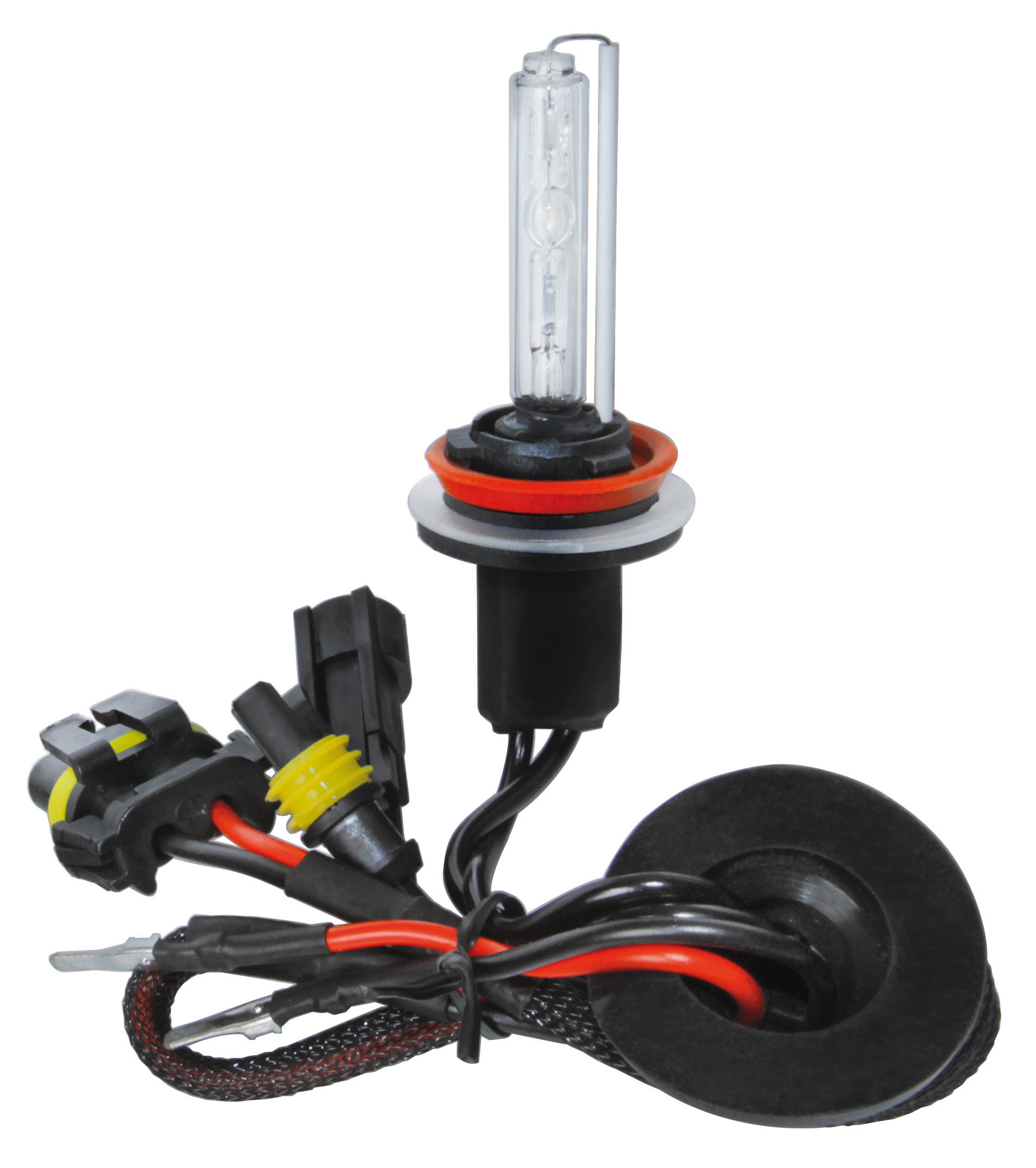 12/24v Lampadina Hid Xenon 8.000k - H8 - 1 Pz  - Scatola