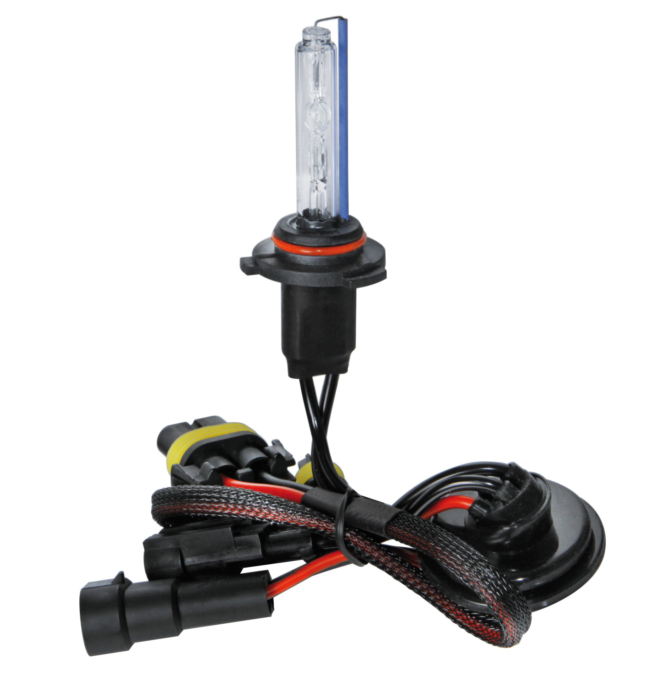 12/24v Lampadina Hid Xenon 8.000k - Hb3 9005 - 1 Pz  - Scatola