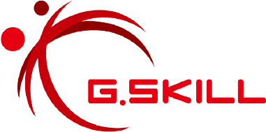 G.skill Flare X5 - Ddr5 - Kit - 32gb: 2 X 16gb - Dimm 288-Pin Low Profile - 6000 Mhz / Pc5-48000 - Cl36 - NoN-Ecc - Mattschwarz (f5-6000j3636f16gx2-F