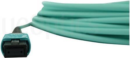 Kompatibles Supermicro CbL-NtwK-0892-Opf40l Blueoptics Lwl Trunkkabel, Mpo/upc Zu Mpo/upc, 40 Meter, Multimode G50/125µm, Om3, Markenfaser, 3.0mm Lsz