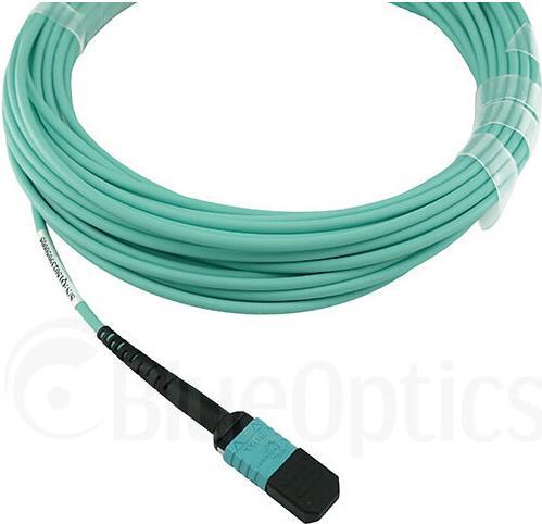 Blueoptics Lwl Mpo Trunkkabel Om3 12 Kerne 40 Meter Typ B (sfp5252eu40mkb)