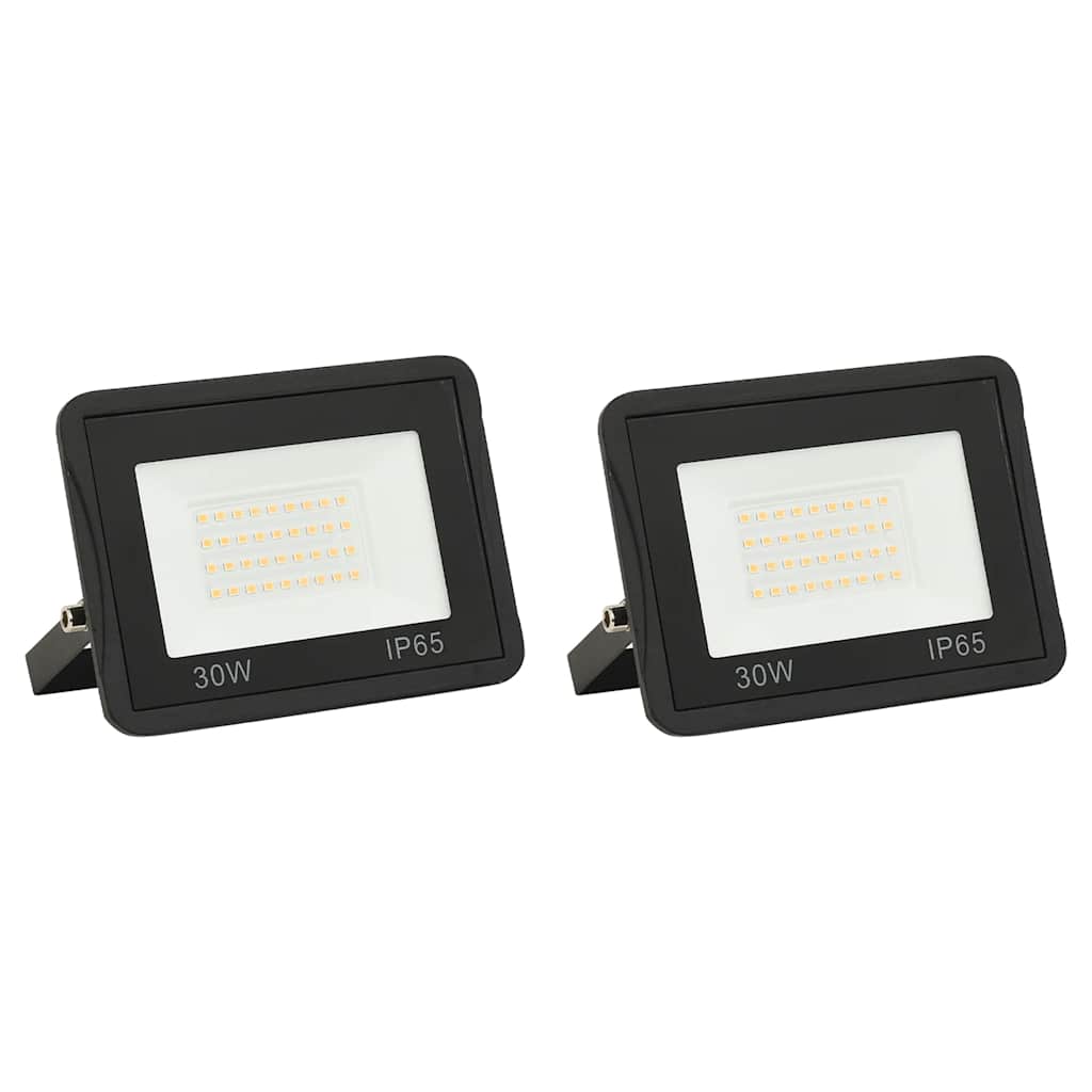 vidaXL Projecteurs à LED 2 pcs 30 W Blanc froid