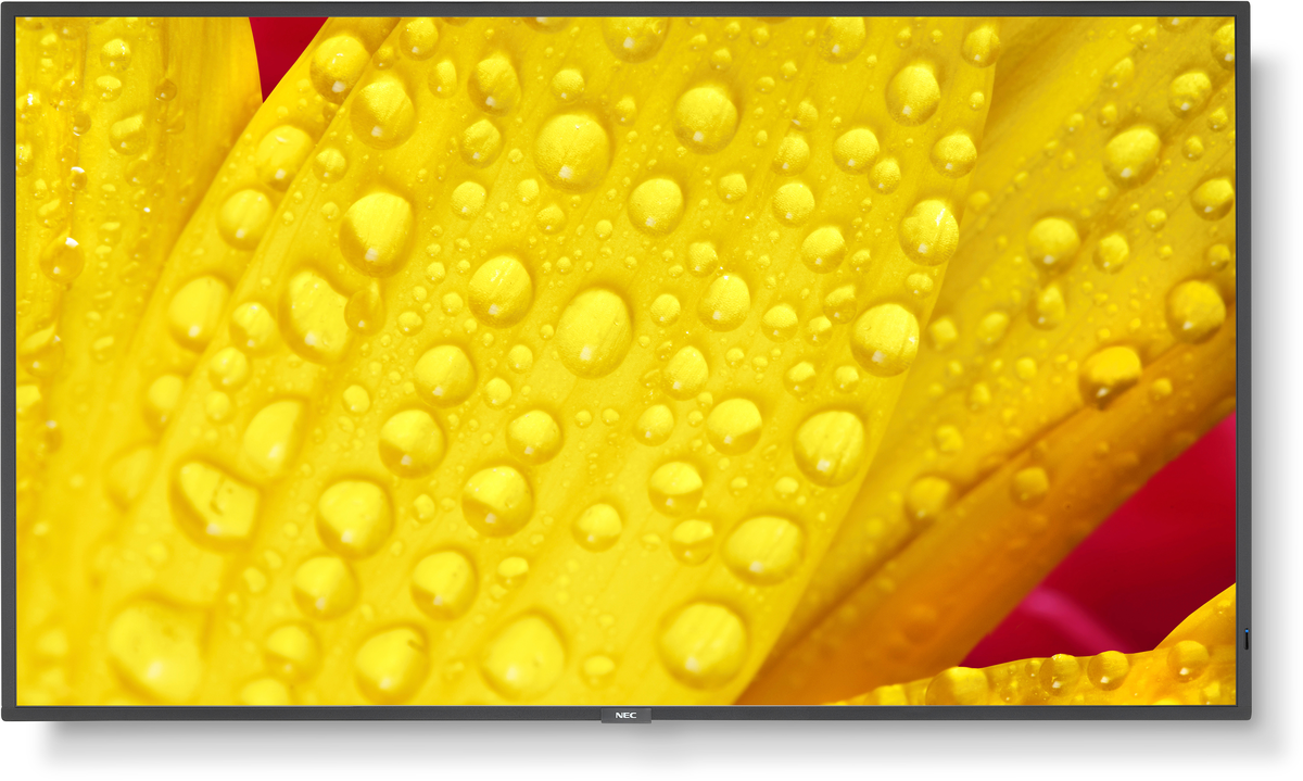 Nec 65" M-Series Large Format Display, Uhd, 500cd/m2, D-Led Backlight, 24/7 Proof,sdm Slot, CM-Slot [energieklasse G] (60006086)