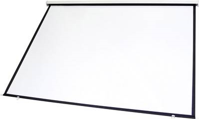 Projektionsleinwand 16 9.300cmx168cm - Leinwand (80901132)