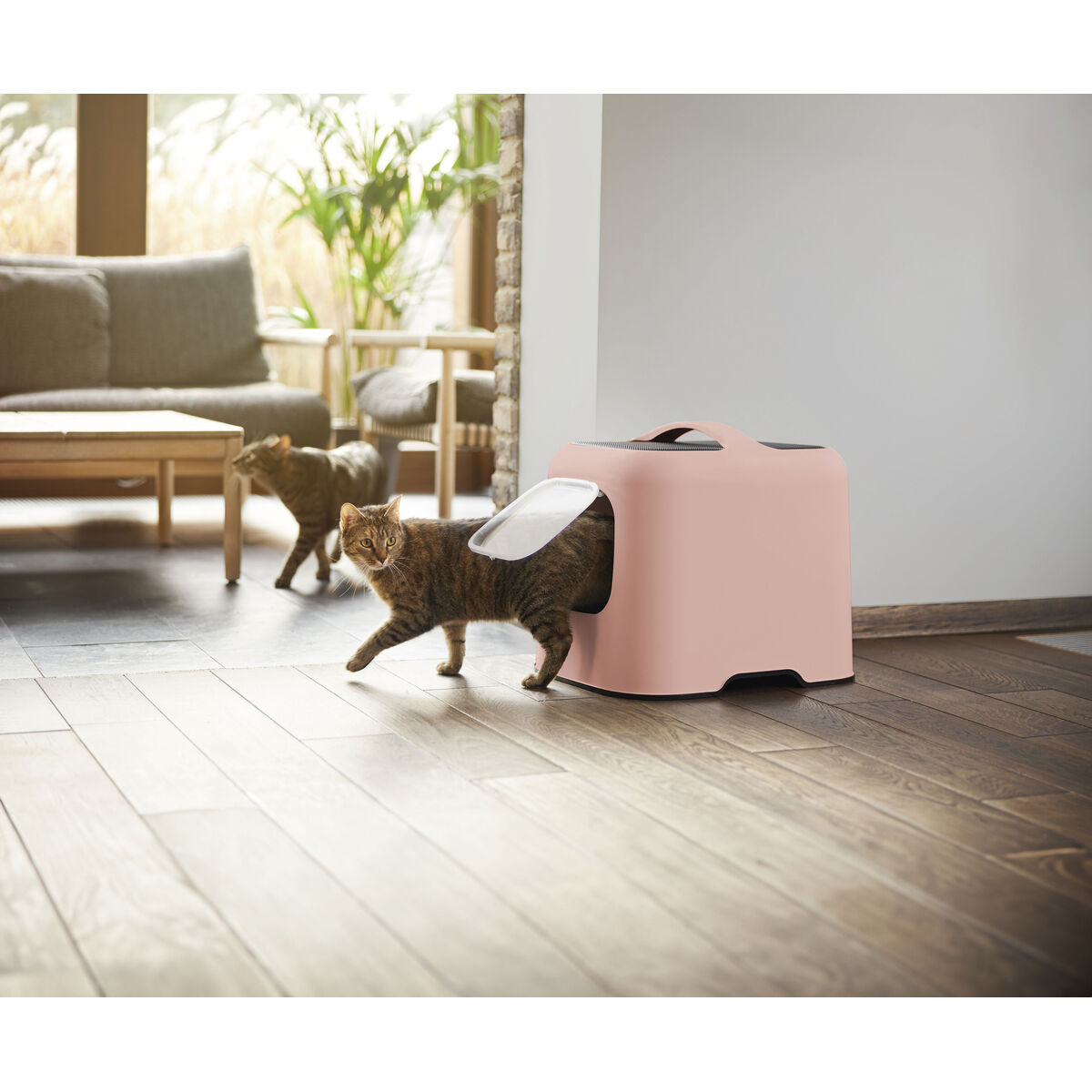 Lettiera Per Gatti Rotho My Pet Rosa