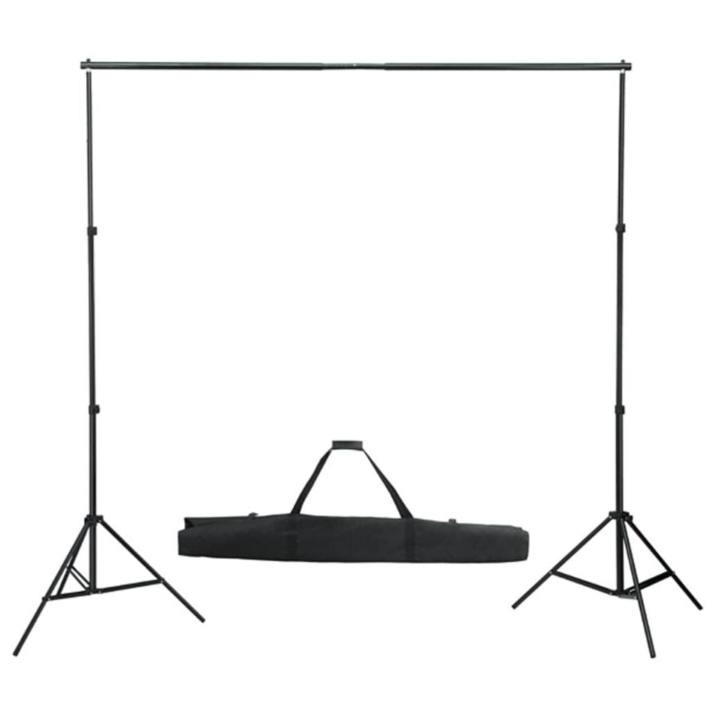 vidaXL Fotostudio-Set mit Beleuchtung und Hintergrund - Image 5