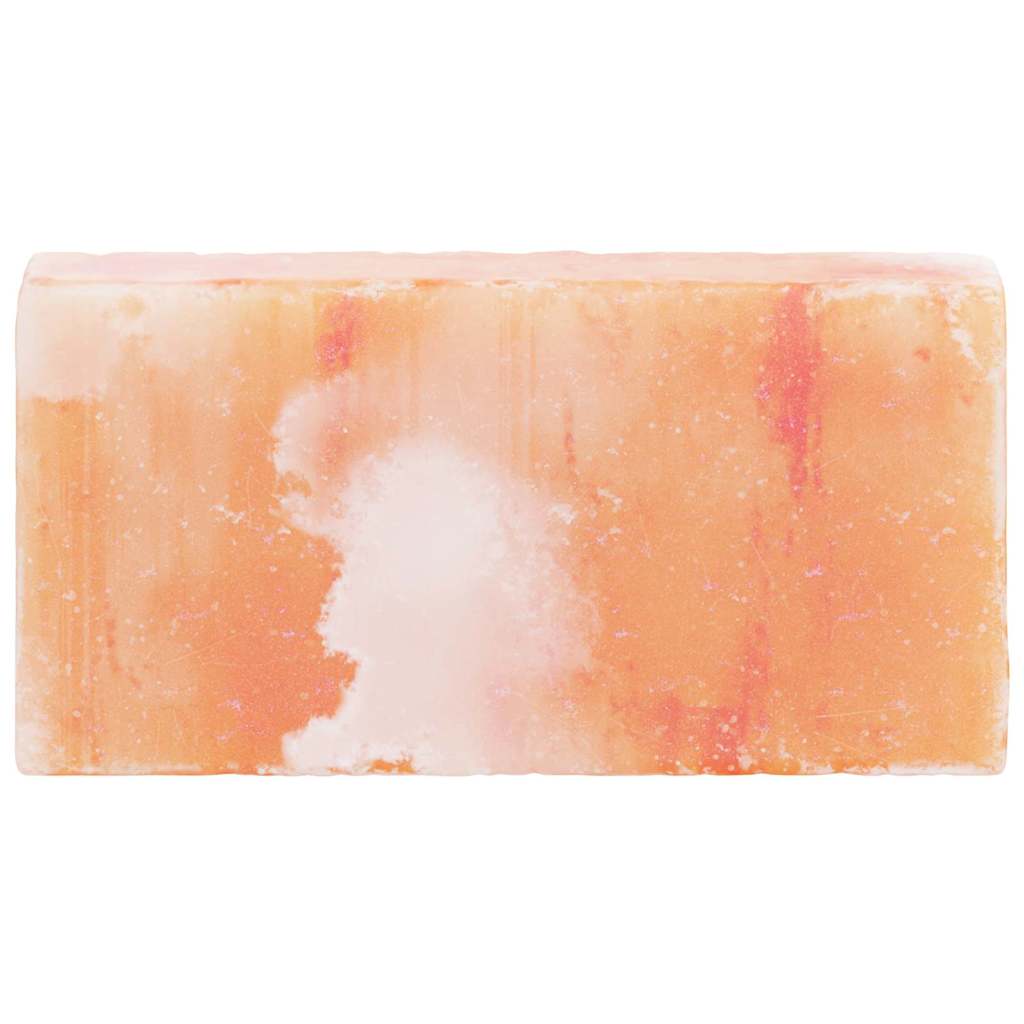 vidaXL Salzsteine 10 pcs Rosa 20 x 5 x 10 cm Steinsalz - Image 4