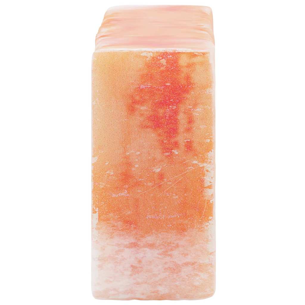 vidaXL Salzsteine 10 pcs Rosa 20 x 5 x 10 cm Steinsalz - Image 5