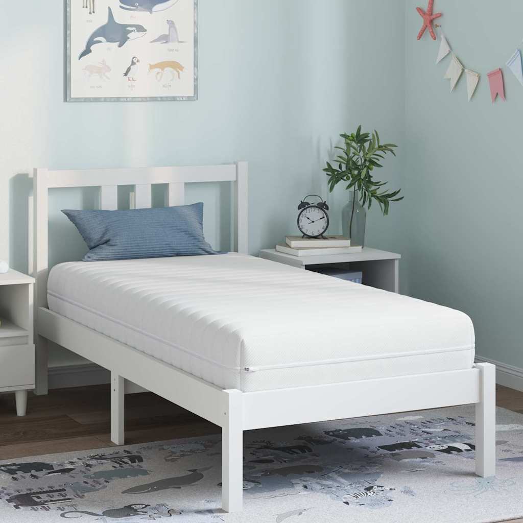 vidaXL Matelas avec Couche de Coco Blanc 80 x 160 cm Ressort ensaché