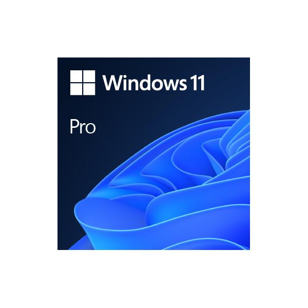 Microsoft Windows 11 Pro 1 Licenza/e (ms Sb Windows 11 Pro 64bit [de] Dvd)
