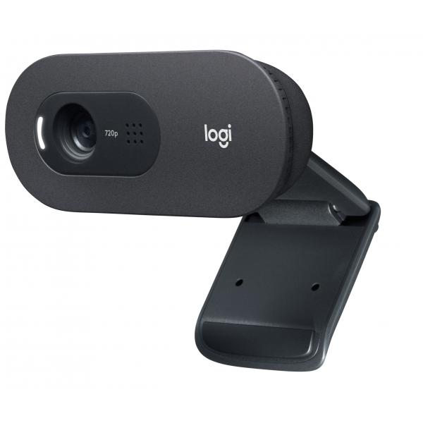 Logitech C505 Webcam Hd - Videocamera Usb Esterna 720p Hd Per Desktop O Laptop Con Microfono A Lunga Portata, Compatibile Con Pc O Mac (logitech Webc