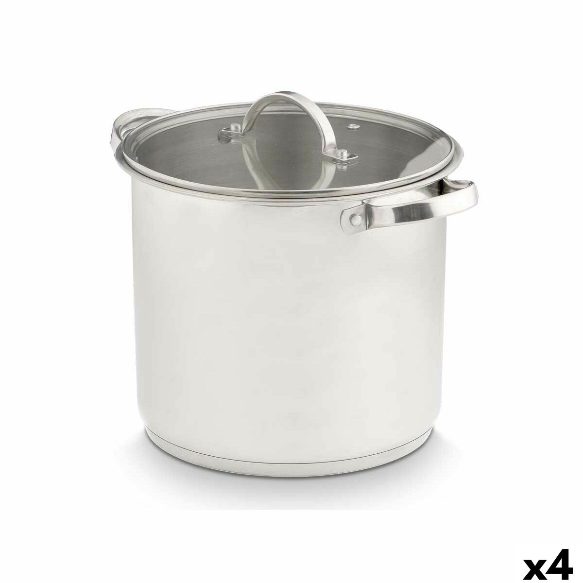 Casseruola con coperchio in vetro Kinvara Argentato 31 x 25 x 24 cm 31 x 23 x 24 cm Induzione (4 Unità)