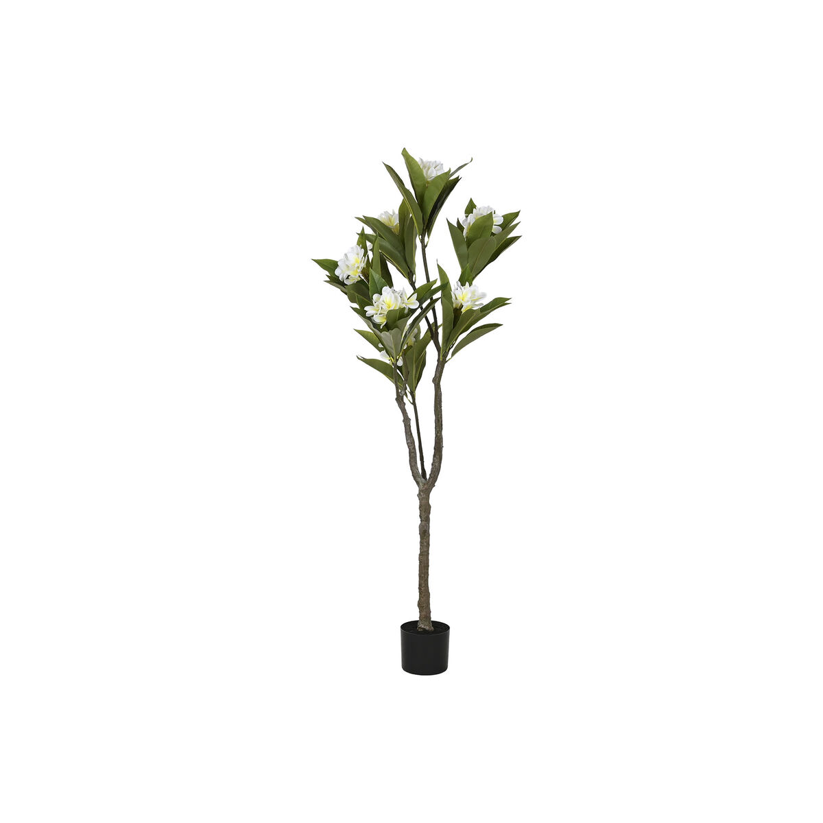Albero Home ESPRIT Polietilene 80 x 80 x 150 cm