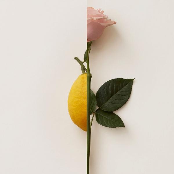 Profumo Donna Burberry My Burberry Blush EDP 30 ml - Image 4