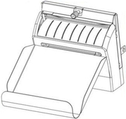 Zebra - Schneideoption (p1037974-069)