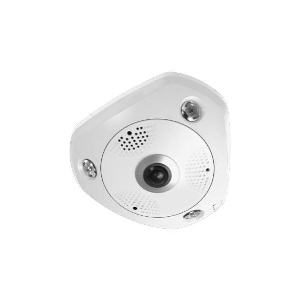 Levelone FcS-3095 - Telecamera Panoramica - Cupola - Resistente Alle Intemperie - A Colori (giorno E Notte)