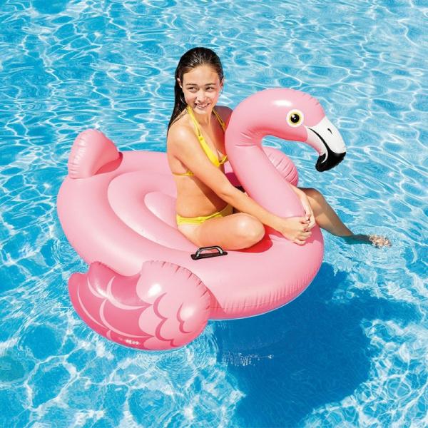 Figura Gonfiabile per Piscina Intex Flamingo (142 X 137 x 97 cm) - Image 3