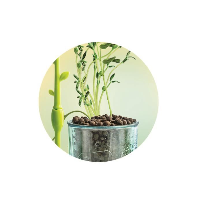 Mini Serra Botanica Clementoni - Image 4