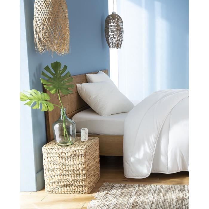 Abeil Set Di 2 Cuscini Fluffydream 60 X 60 cm - Image 3