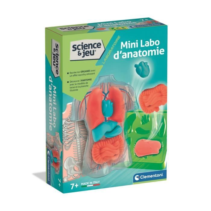 Laboratorio Di Anatomia Clementoni Mini