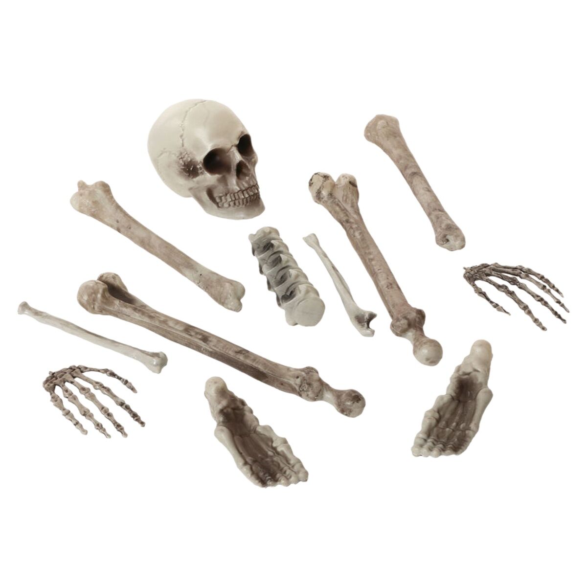 Decorazione per Halloween Scheletro Bianco