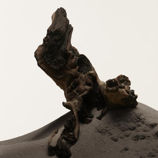 Profumo Uomo Burberry Hero EDT 100 ml Hero - Image 4