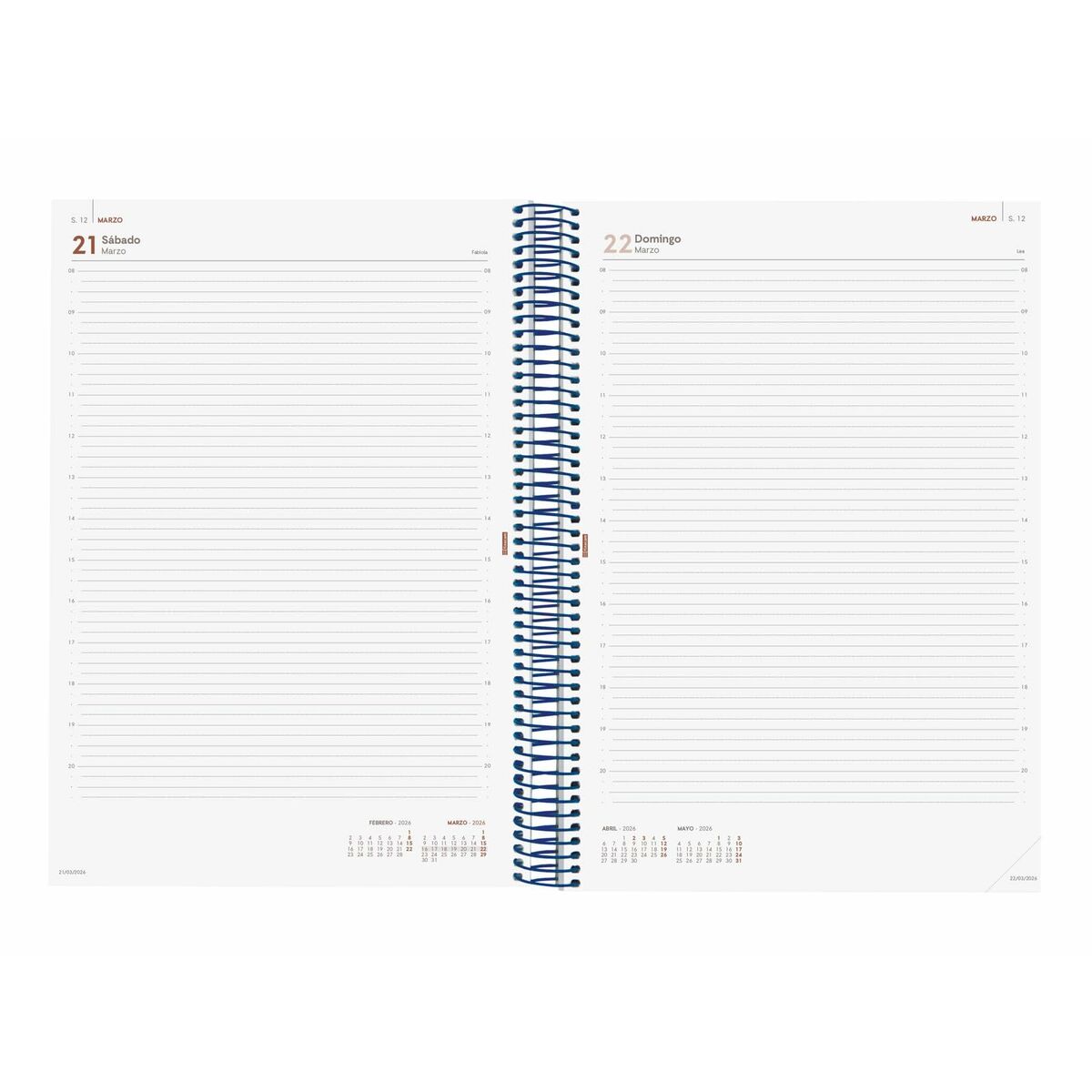 Agenda Finocam YEAR Azzurro A4 21 x 29,7 cm 2026 - Image 4