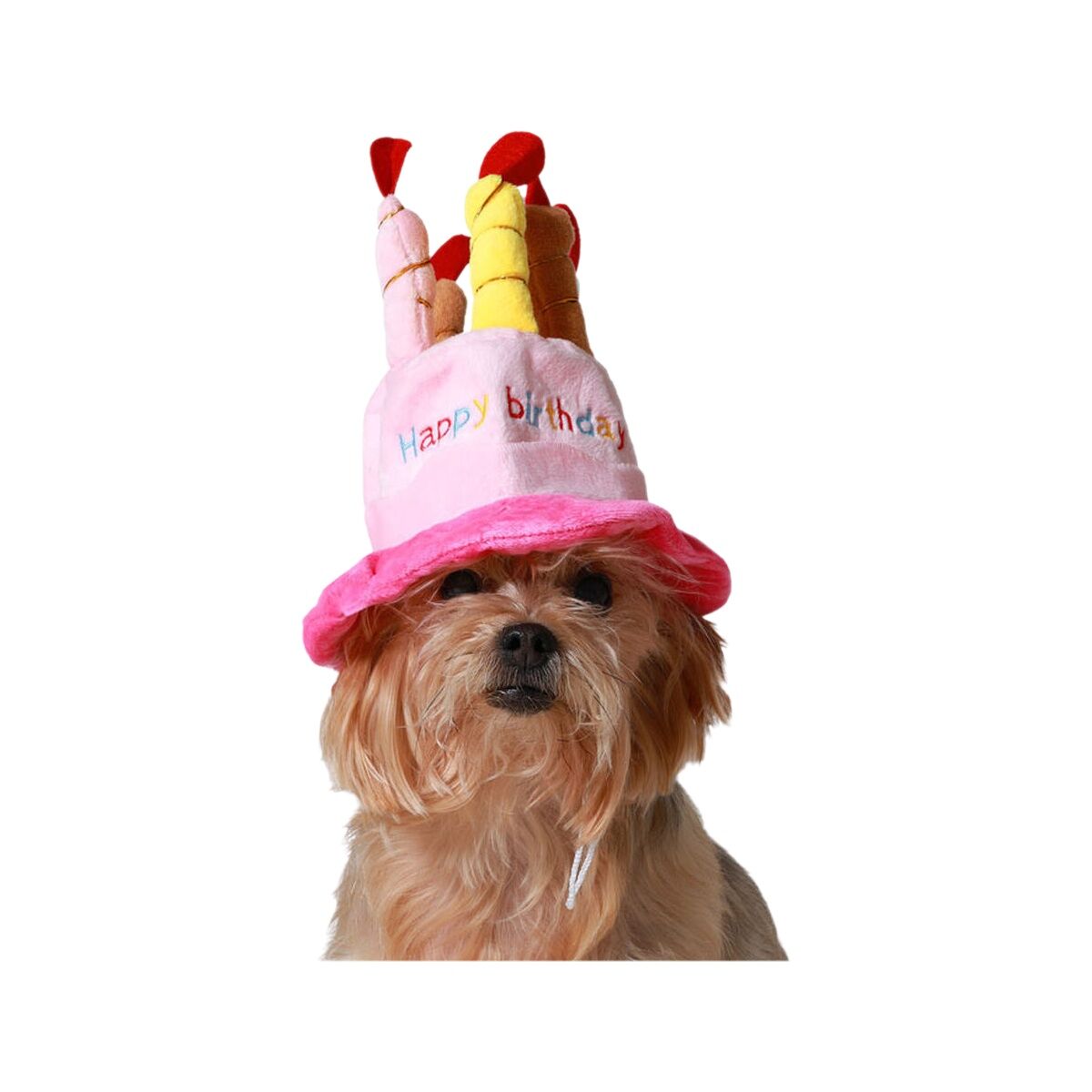 Costume per Cane Rosa Cappello Compleanno
