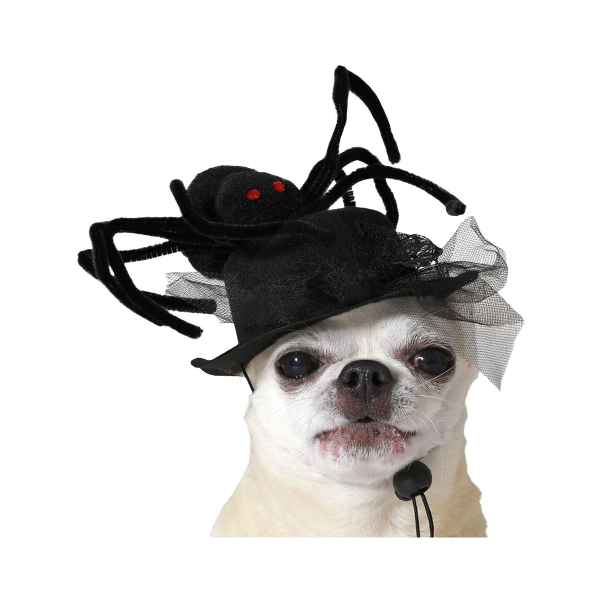 Costume per Cane Nero Cappello