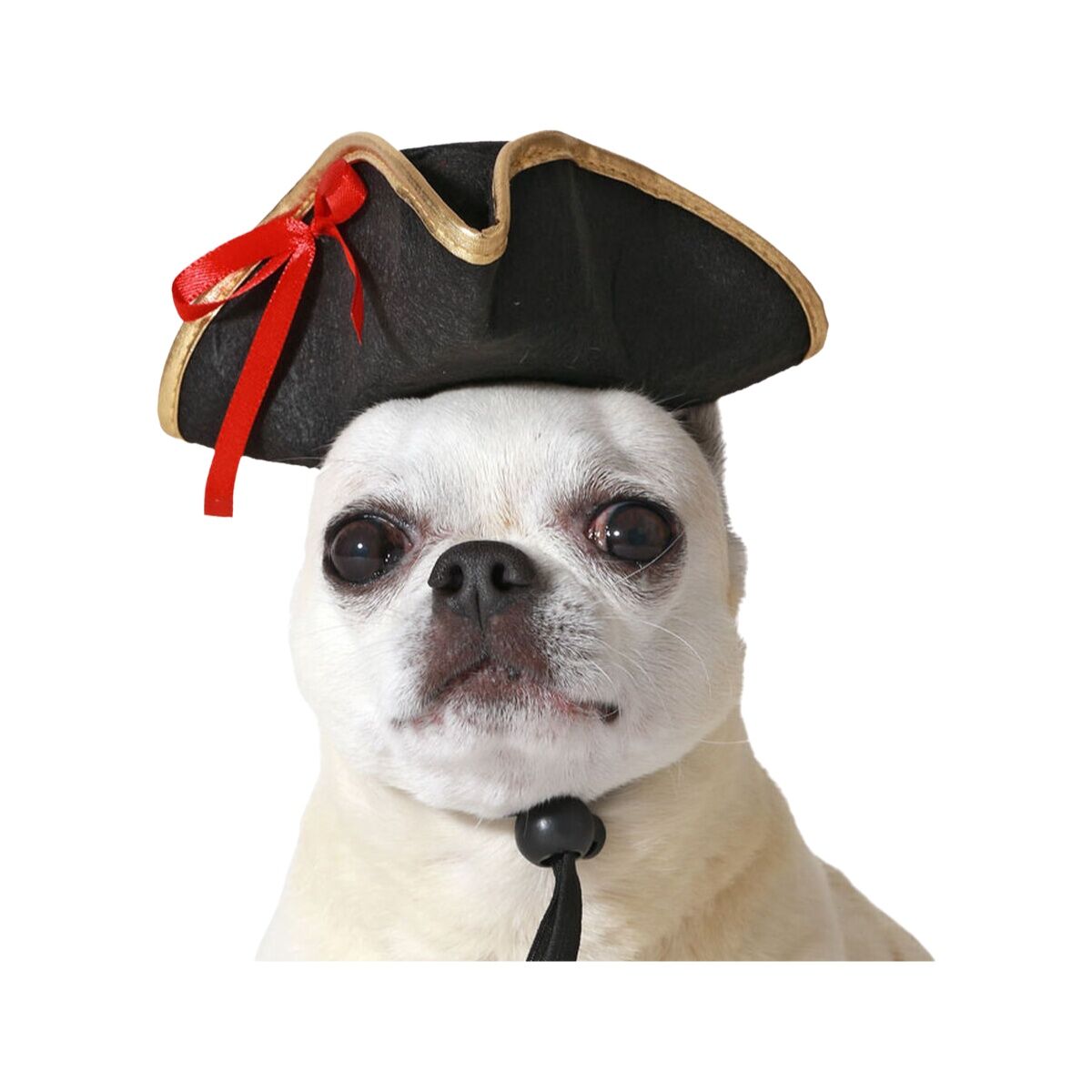 Costume per Cane Nero Cappello