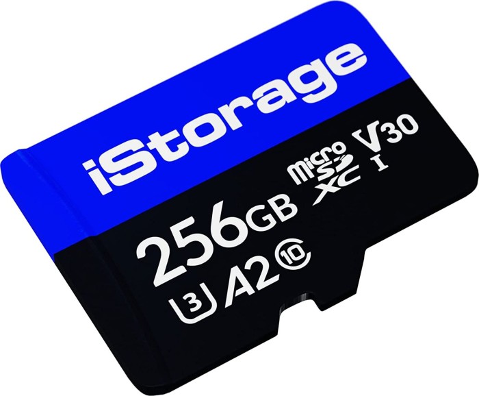 Istorage - FlasH-Speicherkarte - 256 Gb - A2 / Video Class V30 / UhS-I U3 / Class10 - Microsdxc