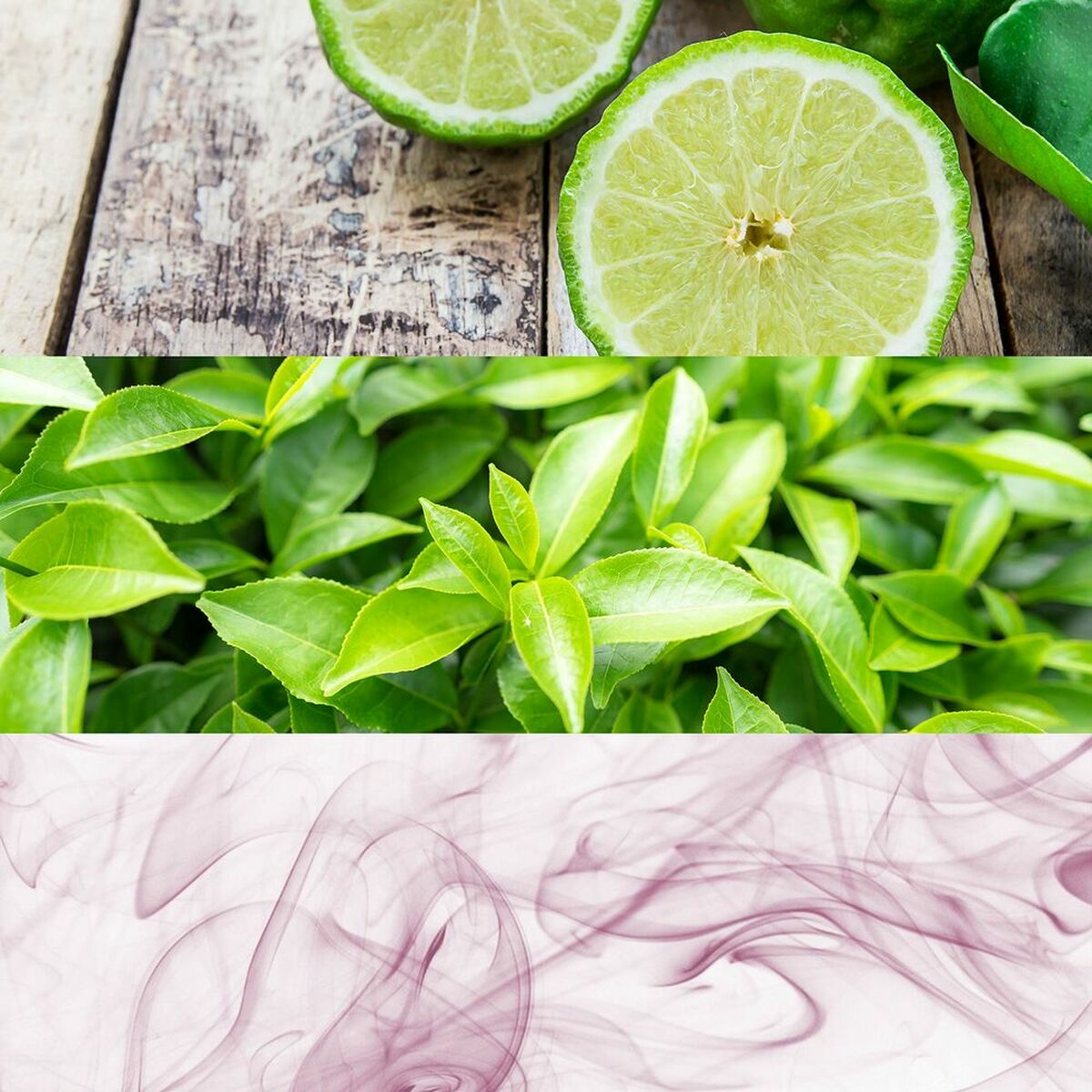 Profumo Unisex Calvin Klein PZF40450 EDT 50 ml - Image 5