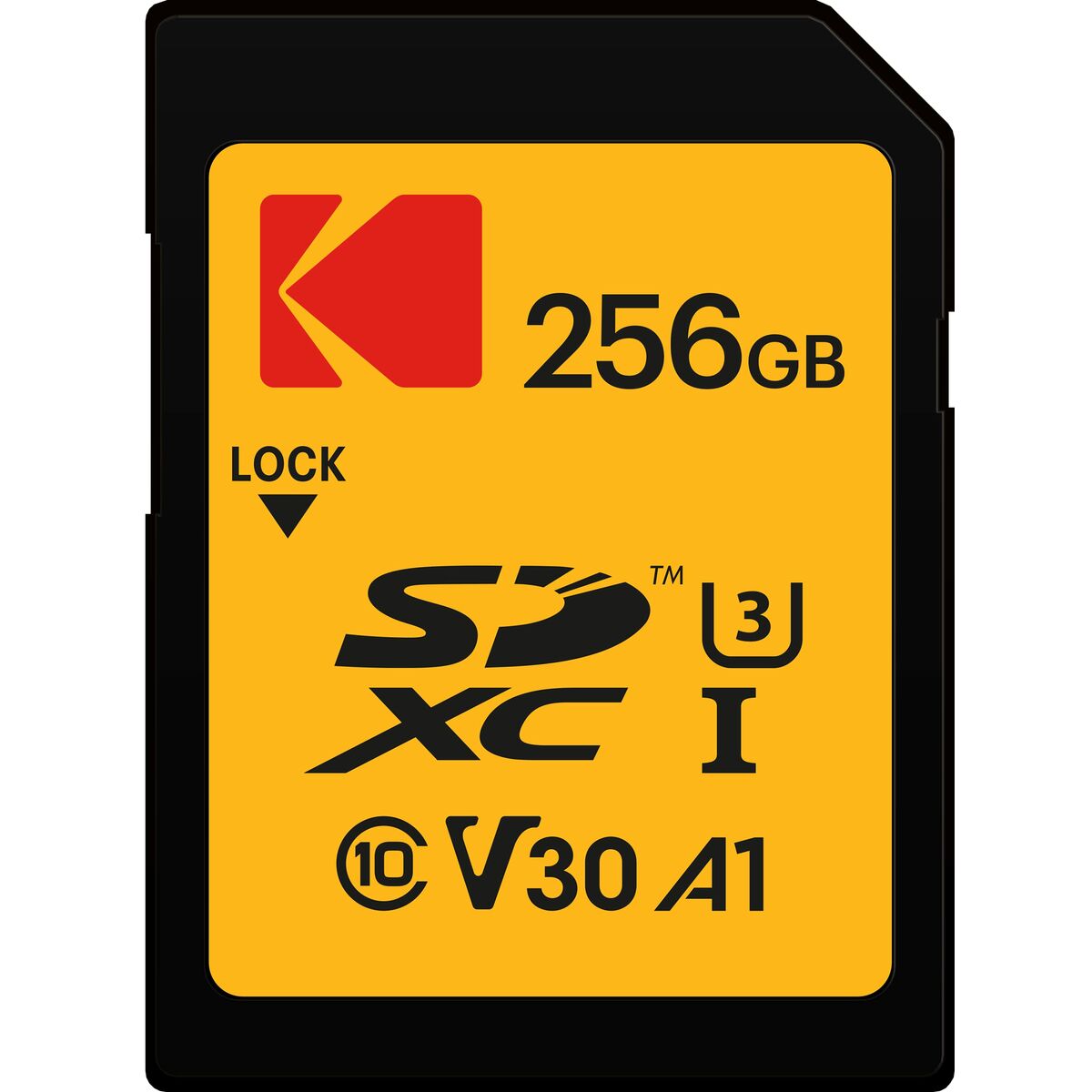 Scheda Di Memoria Kodak EKMSD256GXC10HPRK