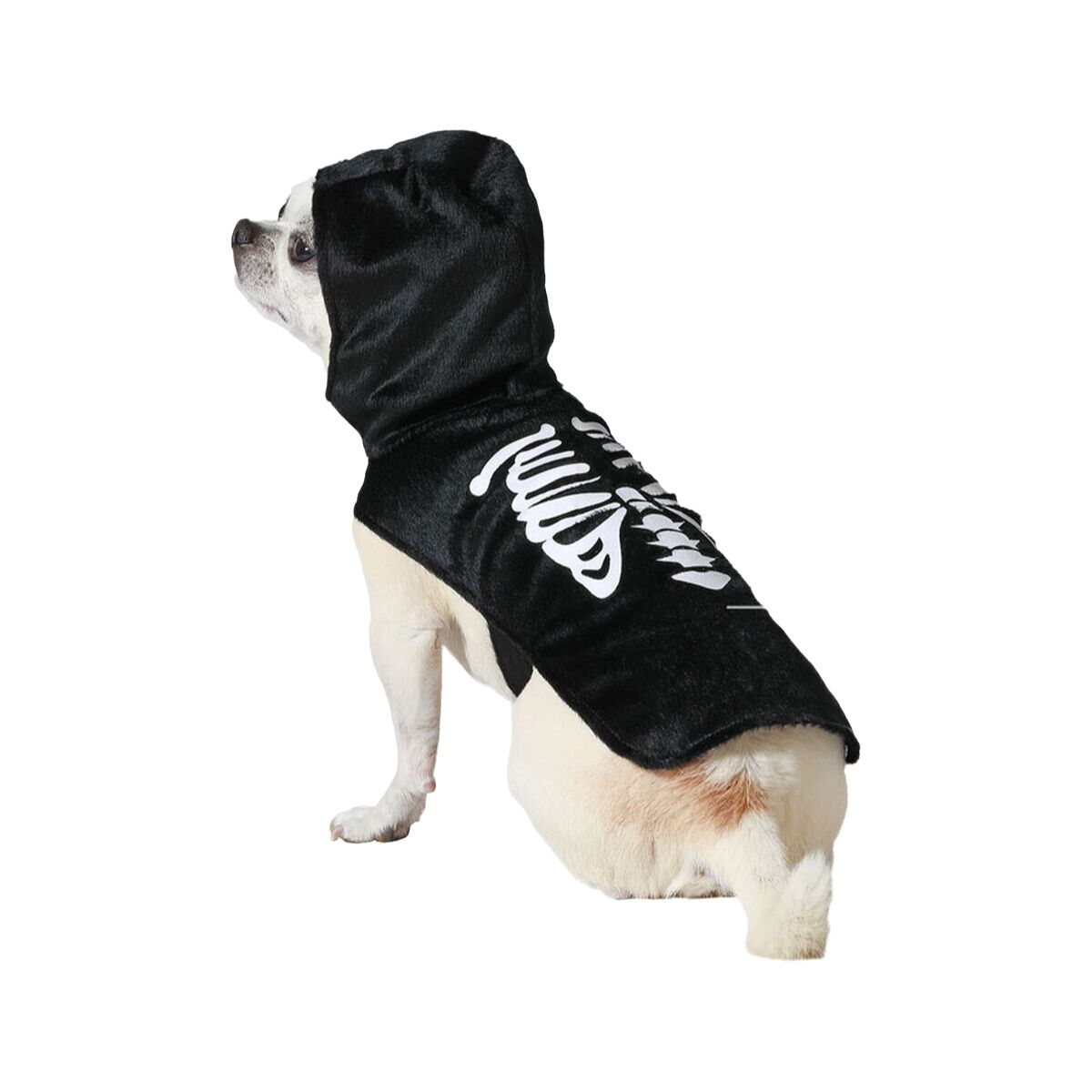 Costume per Cane Scheletro Taglia:M