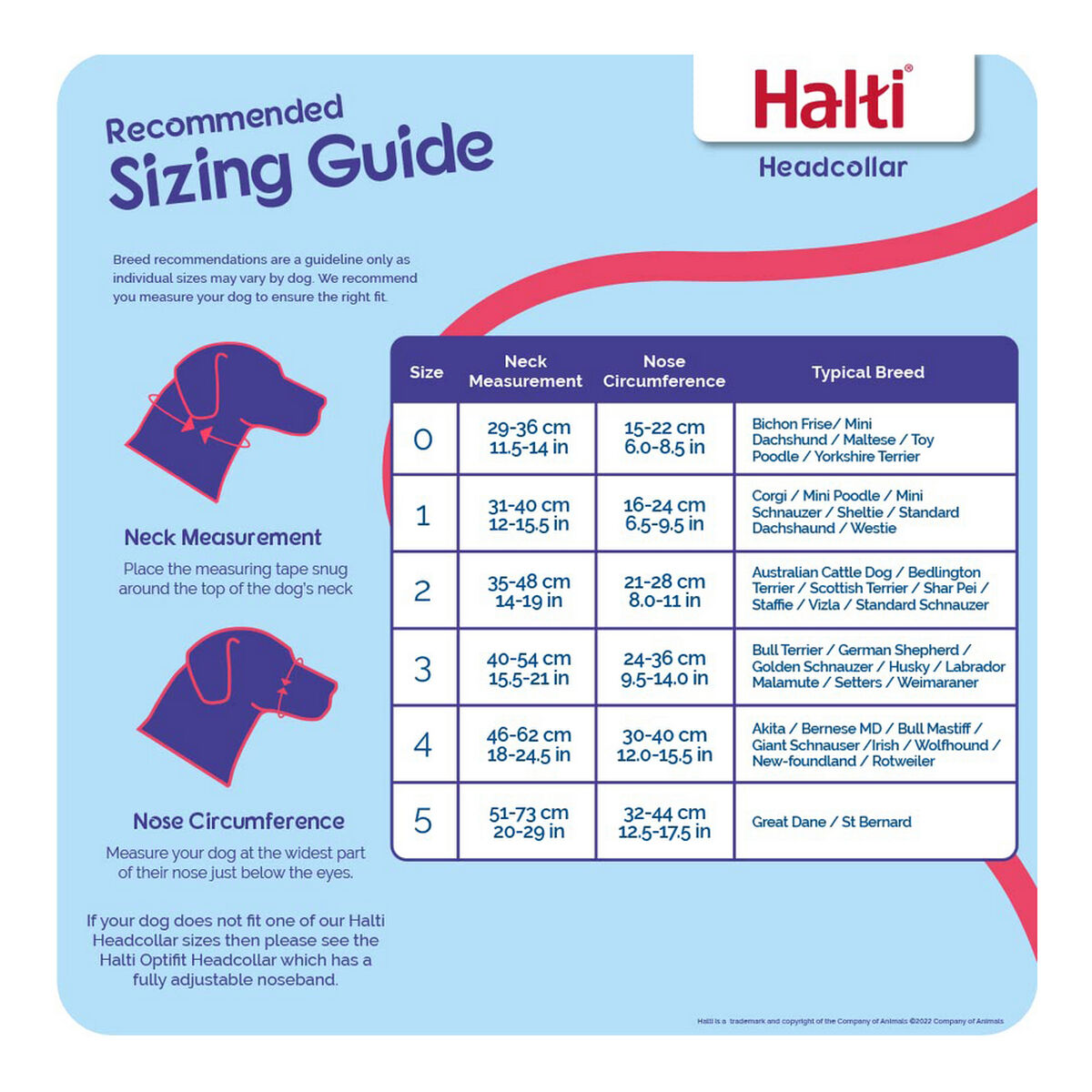 Collari da addestramento per cani Company of Animals Halti Nero Museruola (46-62 cm) - Image 3