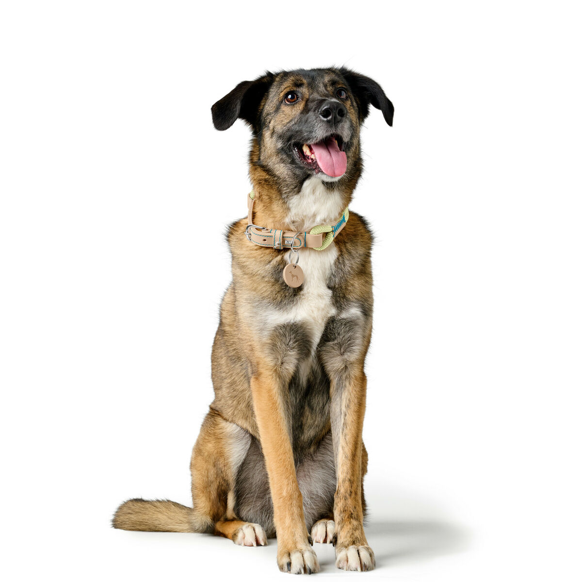 Collare Per Cani Hunter Malia Verde S/m 35-44 cm - Image 5