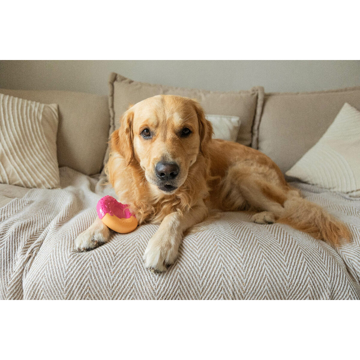 Giocattolo Da Mordere Per Cani Nylabone Rosa Bacon L - Image 4