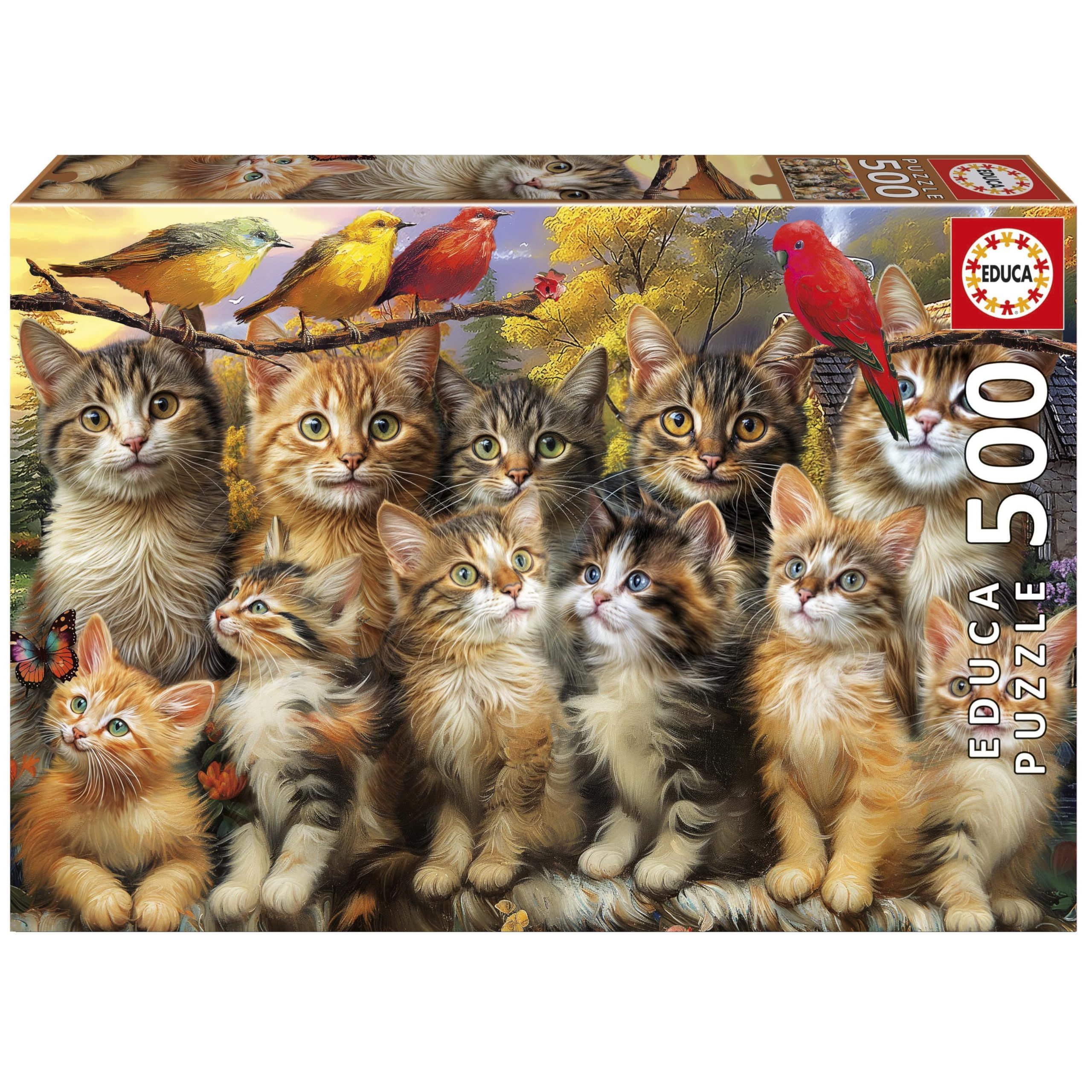 Puzzle - Educa - Gattini E Uccelli - 500 Pezzi