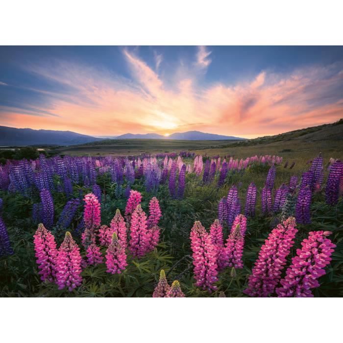 Puzzle Da 500 Pezzi I Lupini (edizione Nature), A Partire Da 12 Anni, Puzzle Di Alta Qualità, 12000688, Ravensburger