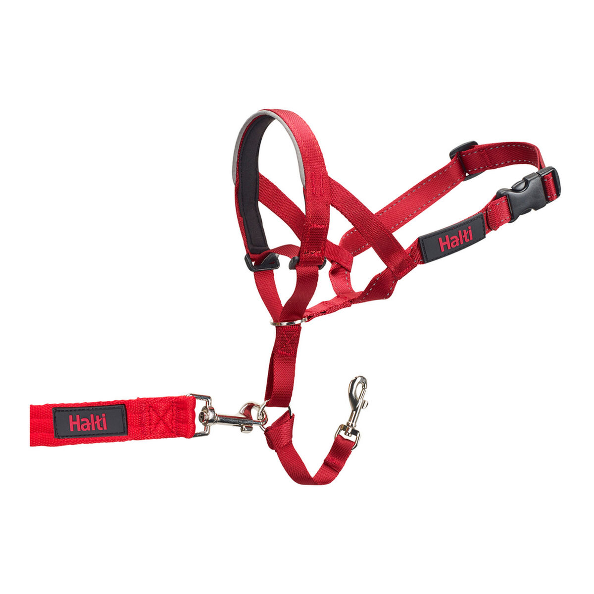 Collari Da Addestramento Per Cani Company Of Animals Halti Museruola (31-40 Cm)