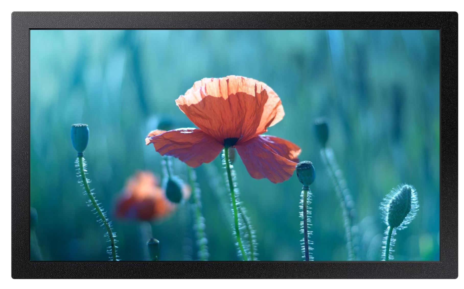 Samsung Qb13c - 33 Cm (13") Diagonalklasse LcD-Display Mit LeD-Hintergrundbeleuchtung - Digital Signage - Tizen Os - 1080p 1920 X 1080 - Schwarz (lh1