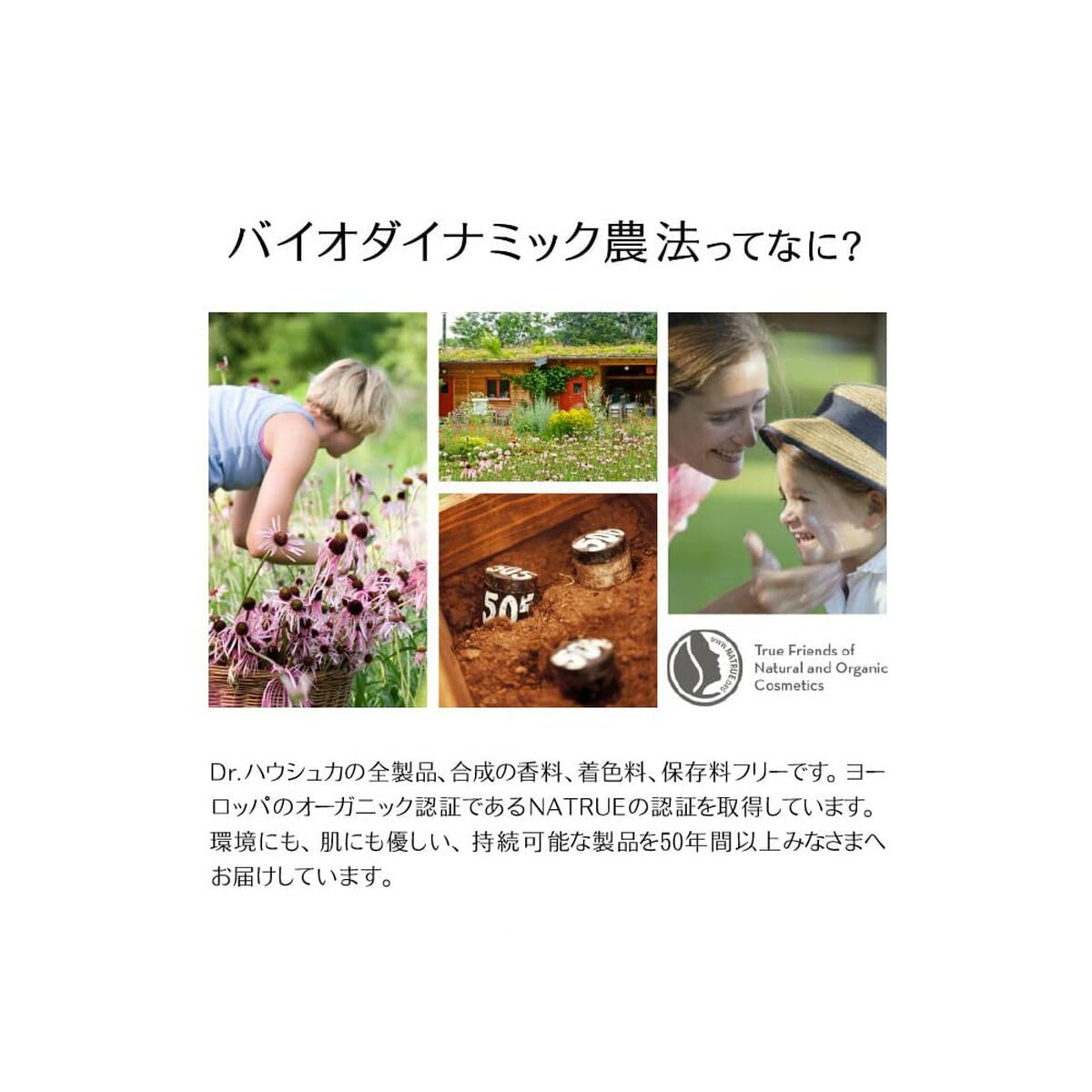 Crema Giorno Dr. Hauschka 30 ml - Image 4