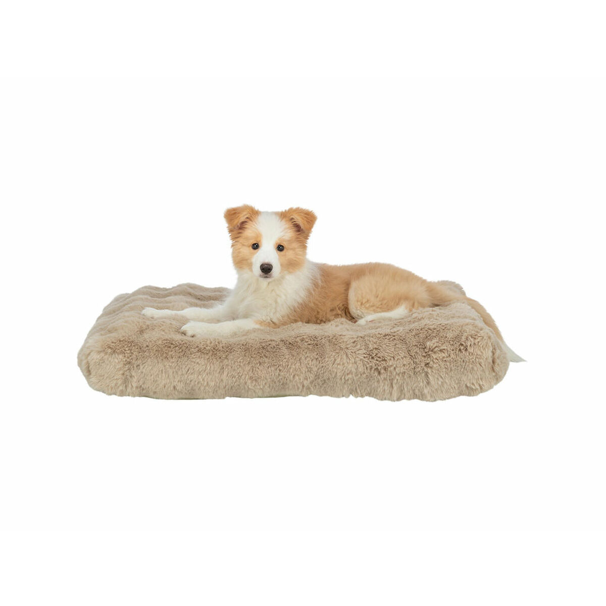 Cuscino Per Cane Trixie Elli Sabbia 80 X 60 cm - Image 3