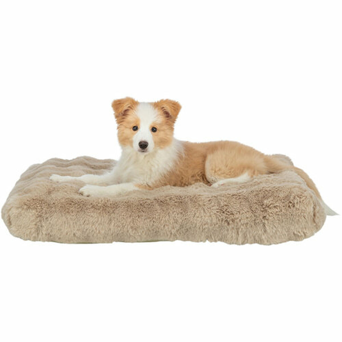 Cuscino Per Cane Trixie Elli Sabbia 80 X 60 cm - Image 4